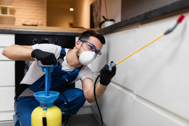 Flea Control Services in Smackover, AR