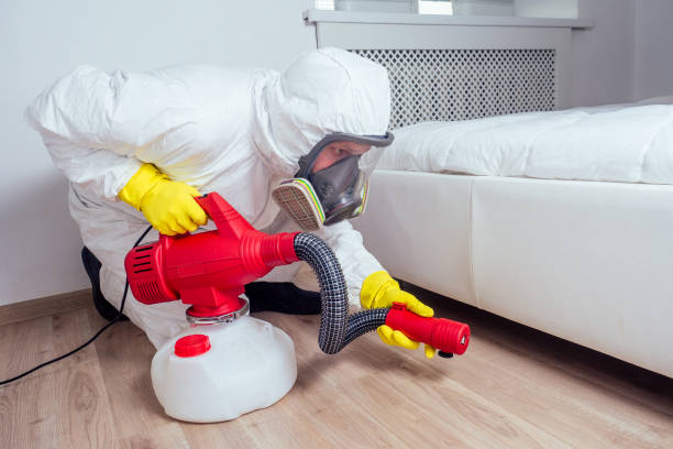 Best Flea Control Services  in Smackover, AR