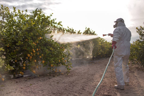 Professional Pest Control in Smackover, AR