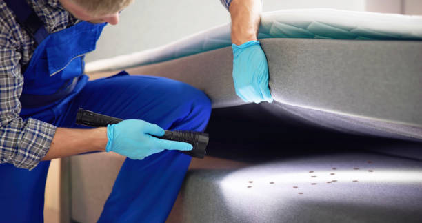 Pest Control Cost in Smackover, AR