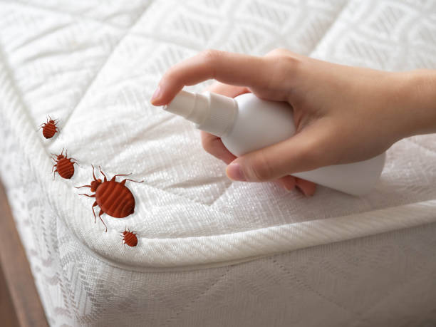 Pest Control for Restaurants in Smackover, AR
