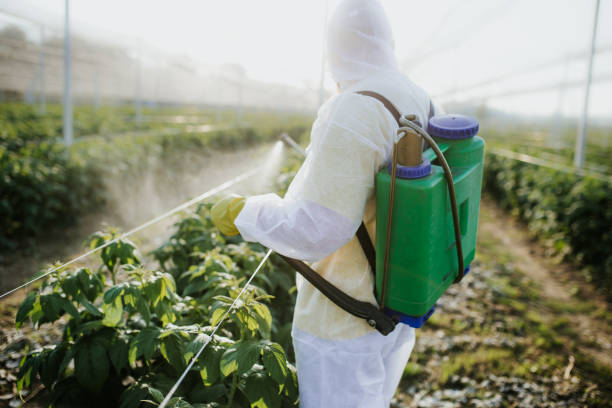 Best Cockroach Control Services  in Smackover, AR